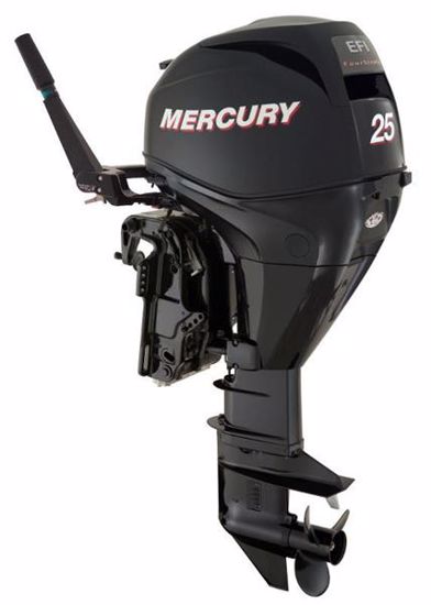 1A25203EK Mercury 25MH FourStroke Outboard for sale