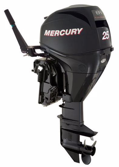 Picture of 25EH  FourStroke Outboard