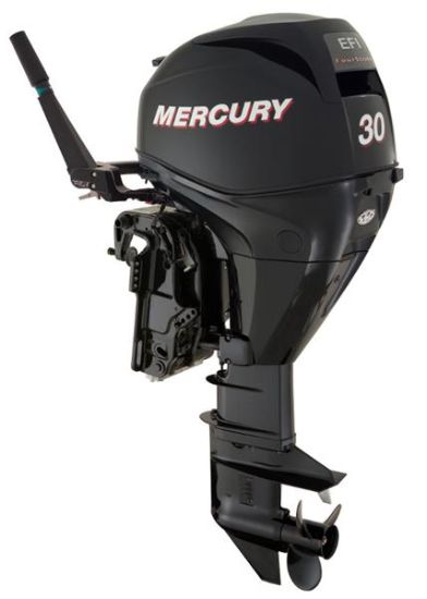Picture of 30ELH GA  FourStroke