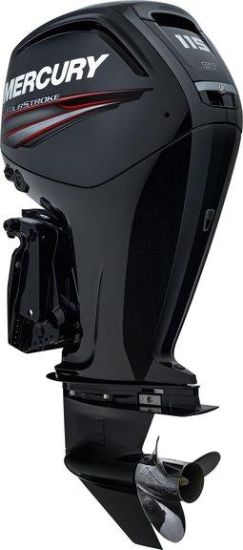 Picture of 115 ELPT  FourStroke