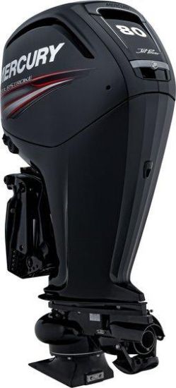 Picture of JET 80ELPT FourStroke 3, 6