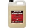 Picture of Mercury-Mercruiser 92-8M0058693 QUICKSTOR 1G