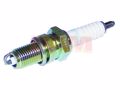 Picture of Mercury Outboard 33-827858Q NGK DPR6EA-9 Spark Plug