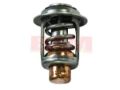 Picture of Mercury-Mercruiser 833072004 THERMOSTAT 62 C (143 F)
