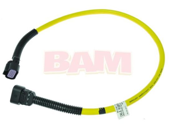 Picture of Mercury 10 Pin DTS CAN Data Harness 1 ft., No Resistor 84-879312T44