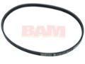 Picture of Mercury-Mercruiser 57-8M0031641 BELT Poly V, 4 Rib