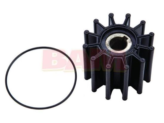 Picture of Mercury-Mercruiser 8M0056956 IMPELLER 