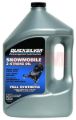 Picture of Mercury-Mercruiser 92-8M0058912 OIL-SYN 2S 