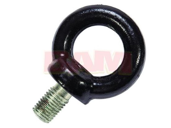 Picture of Mercury-Mercruiser 10-8M0080049 LIFTING EYE M16 Bolt