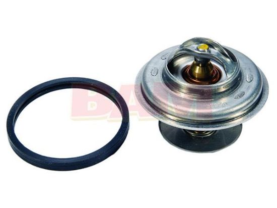 Picture of Mercury-Mercruiser 8M0093561 THERMOSTAT VALVE