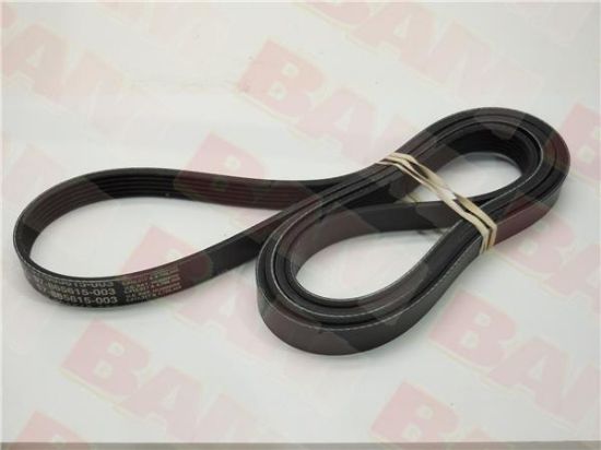 Mercury-Mercruiser 57-865615Q03 Serpentine Belt 57-865615003