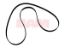 Purchase Mercury Marine 865615Q04 Serpentine Belt Mercury Marine 865615Q04 Serpentine Belt