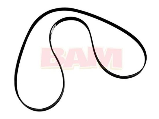 Mercury Marine 865615Q06 Serpentine Belt