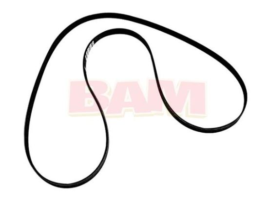 Mercury Marine 879194425 Serpentine Belt