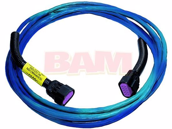 Mercury Marine 879981T50 CAN Data Harness - 10 Pin - One Resistor Non DTS (Blue)