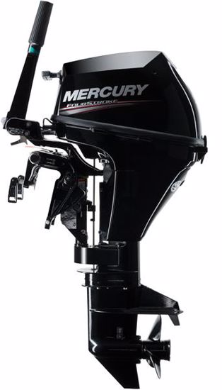 Mercury 1F08301KK 8eh-fourstroke Outboard