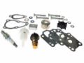 8M0120836 Mercury outboard 300 HR Service Kit 4/5/6 HP EFI 0R411838 and above