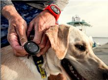 Show products in category 1st Mate Marine Safety & Security Picture for category 1st Mate Marine Safety & Security