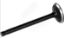 buy Mercruiser OEM intake valve 8M0146076  Mercury-Mercruiser 8M0146076 Intake Valve 5.7L BX