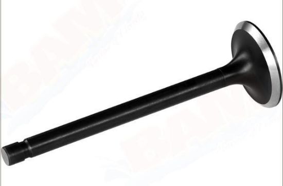 Mercury-Mercruiser 8M0146074 Valve Intake Standard 3.0L Black X Composite