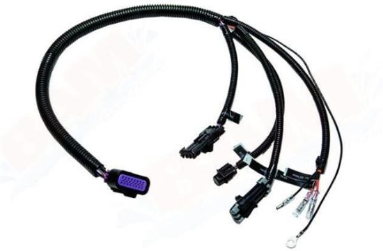 Picture of Mercury-Mercruiser 84-865677T02 Transom Harness Assembly