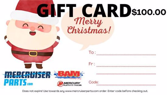 Picture of BAM Marine $100 gift card