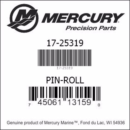 Bar codes for Mercury Marine part number 17-25319