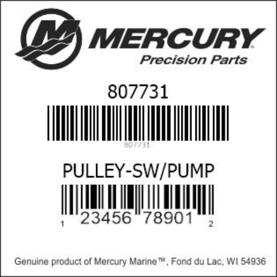 Bar codes for Mercury Marine part number 807731