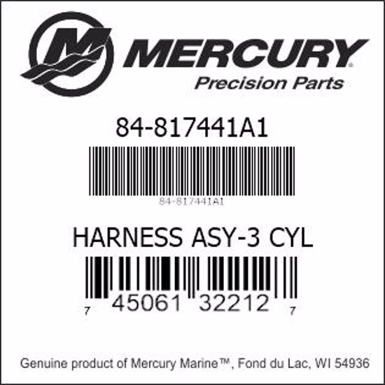 Bar codes for Mercury Marine part number 84-817441A1