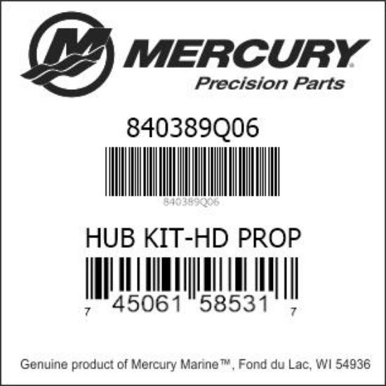 Bar codes for Mercury Marine part number 840389Q06