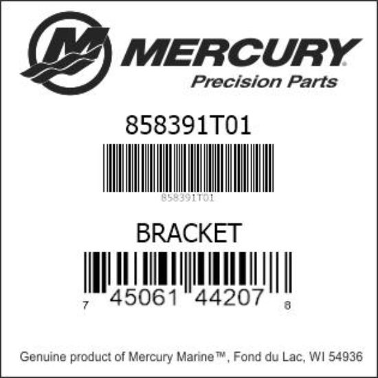 Bar codes for Mercury Marine part number 858391T01