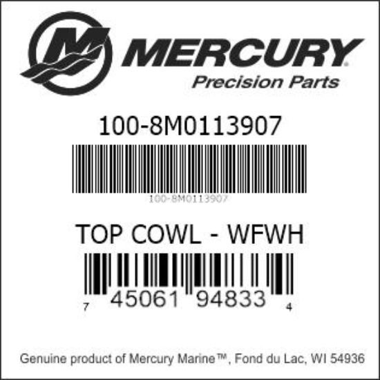 Bar codes for Mercury Marine part number 100-8M0113907