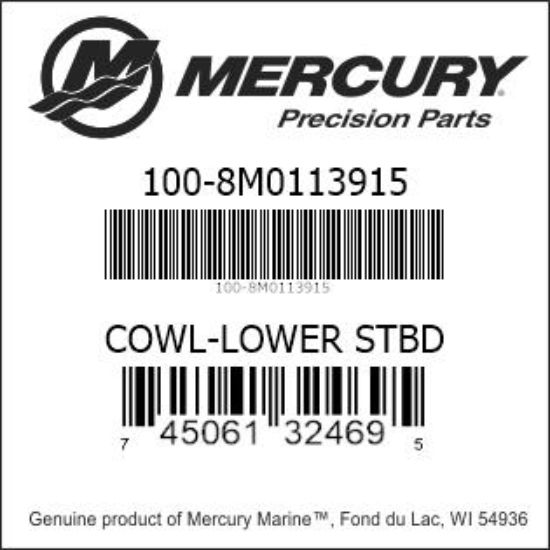 Bar codes for Mercury Marine part number 100-8M0113915