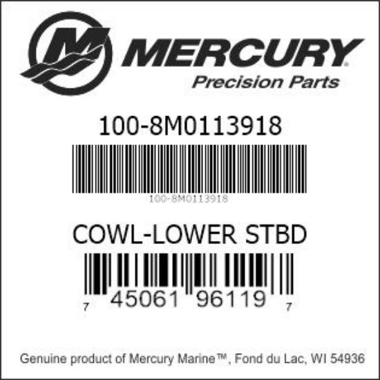 Bar codes for Mercury Marine part number 100-8M0113918