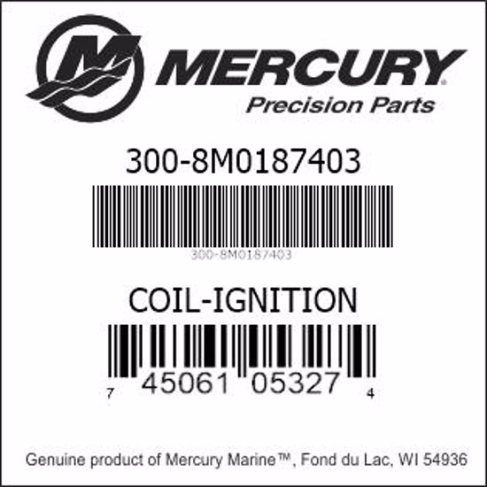 Bar codes for Mercury Marine part number 300-8M0187403