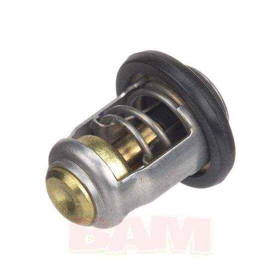 Genuine OEM Mercury Marine part number 8M0119207