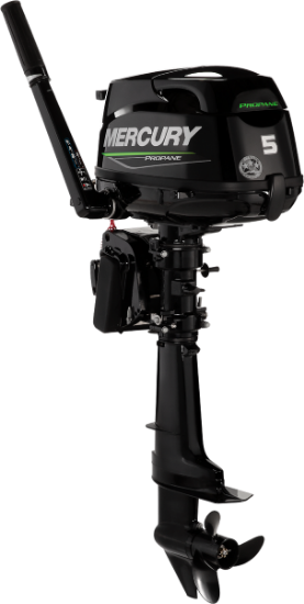Picture of Mercury 5MH Propane FourStroke
