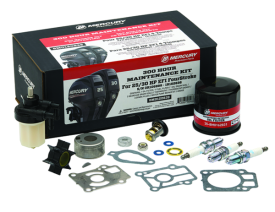 Picture of Mercury Outboard 8M0120839 25 or 30 HP Service Kit 300 Hour